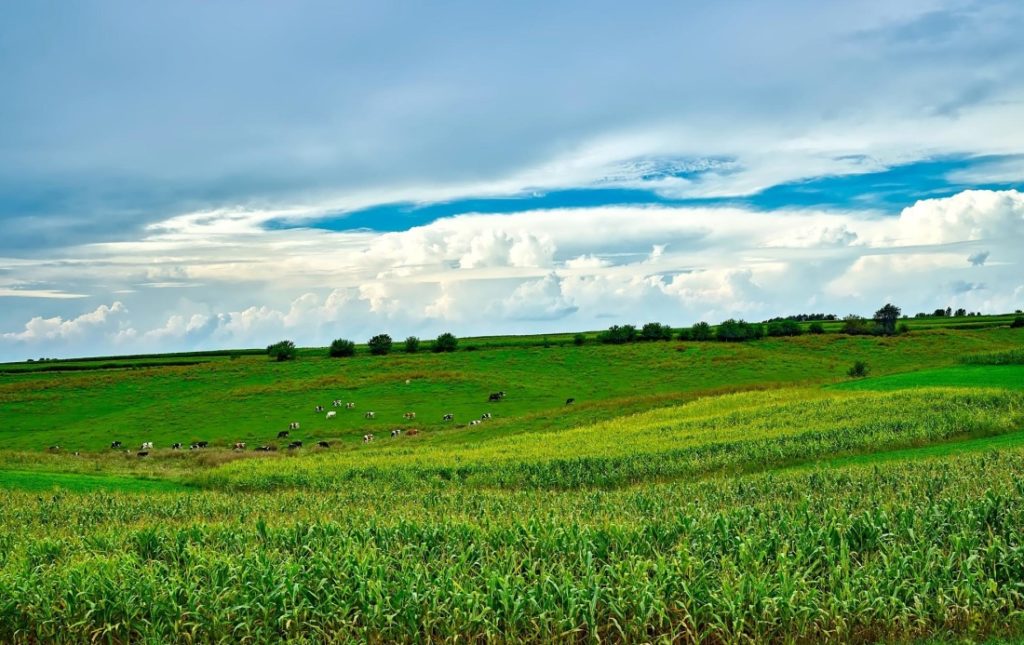 choix d'un terrain