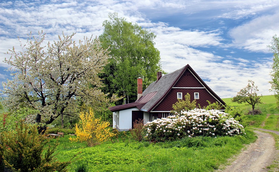 chalet pour construction